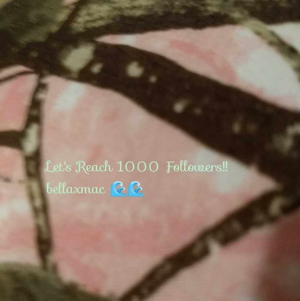 let's reach 1000 followers 🤩🤩